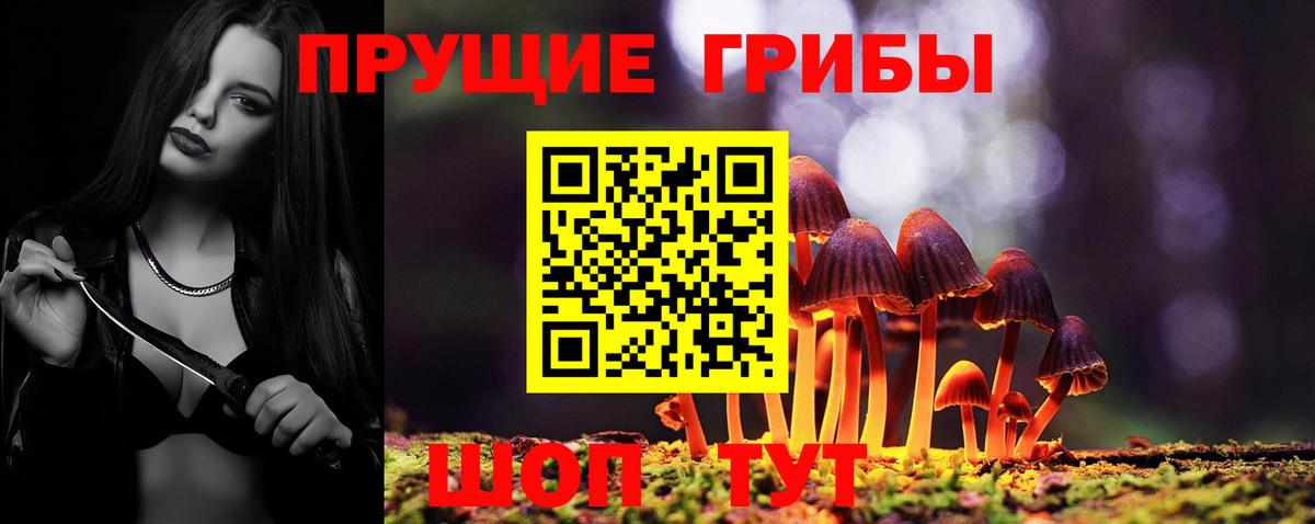 Галлюциногенные грибы прущие грибы  Галлюциногенные грибы Psilocybe  Тула  Вход с VPN 